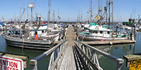 Port - Westport, WA